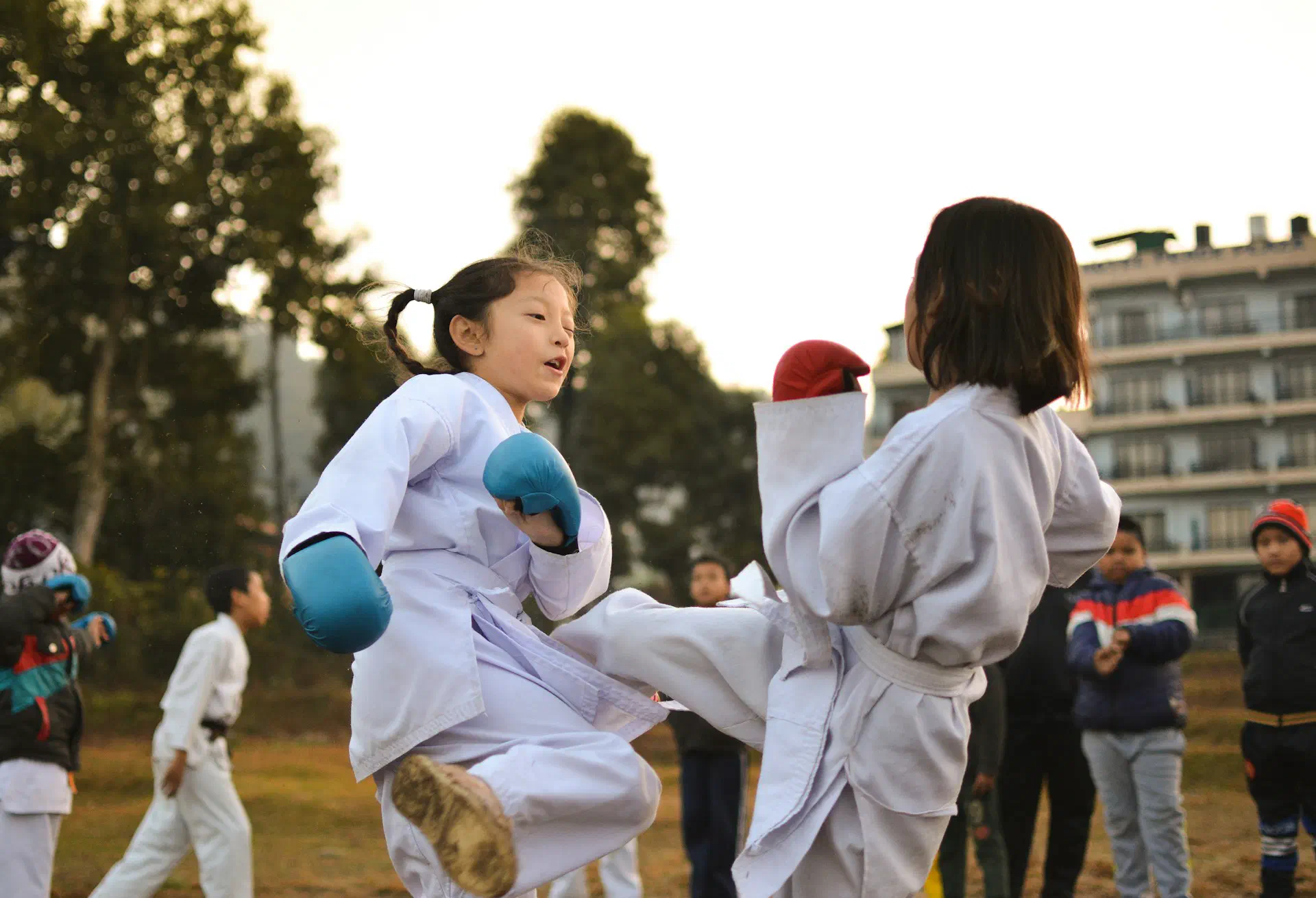 Martial Arts Registration Software: What Schools Actually Need