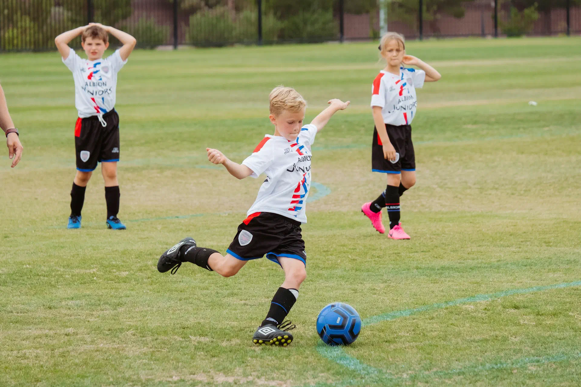 Soccer Registration Software: What Clubs Actually Need