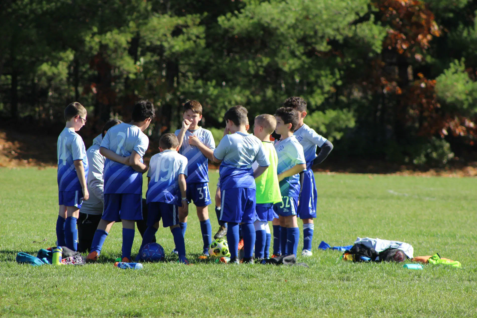 Youth Sports Registration Software: A League Director's Guide